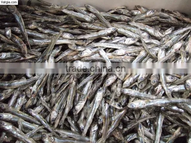 EXPORT BOILED ANCHOVY SPRATS (Email: katherine.vilaconic@, Viber, Whatsapp: +841687264621)