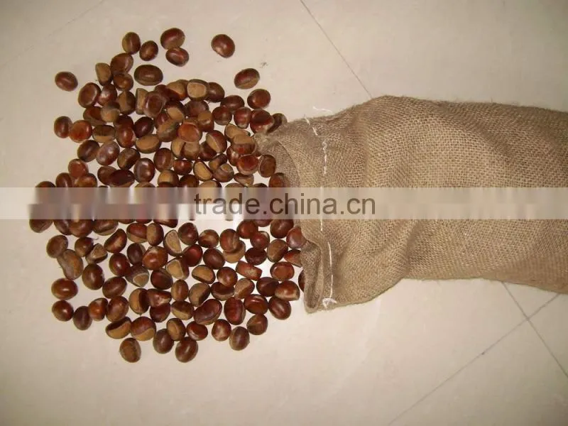 Chestnut Type Raw chestnut