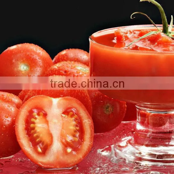 Tomato paste in bulk
