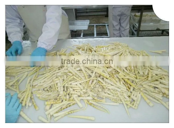 Salted Bamboo Shoot round cut/whole
