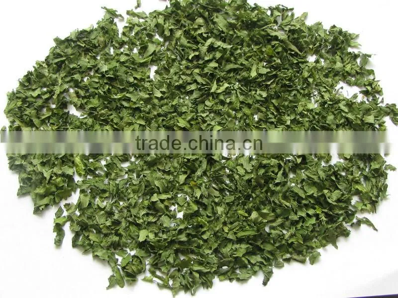 sell dehydrated celery powder