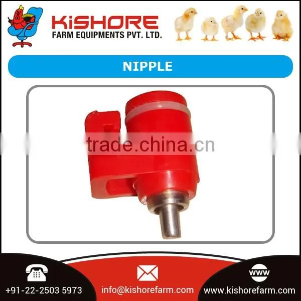 Automatic Poultry Nipple Drinking System