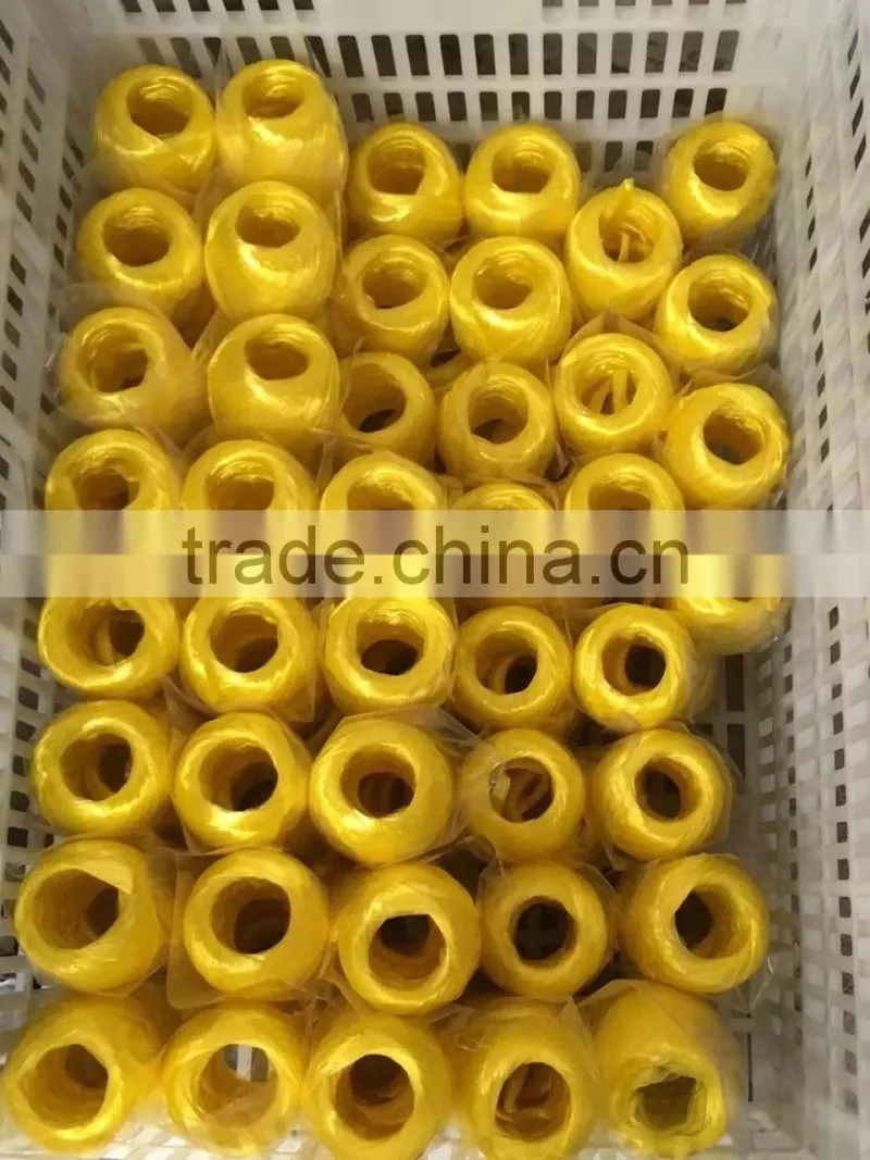 Competitive Price For Hot Selling PP packing rope for agriculture made in Shandong