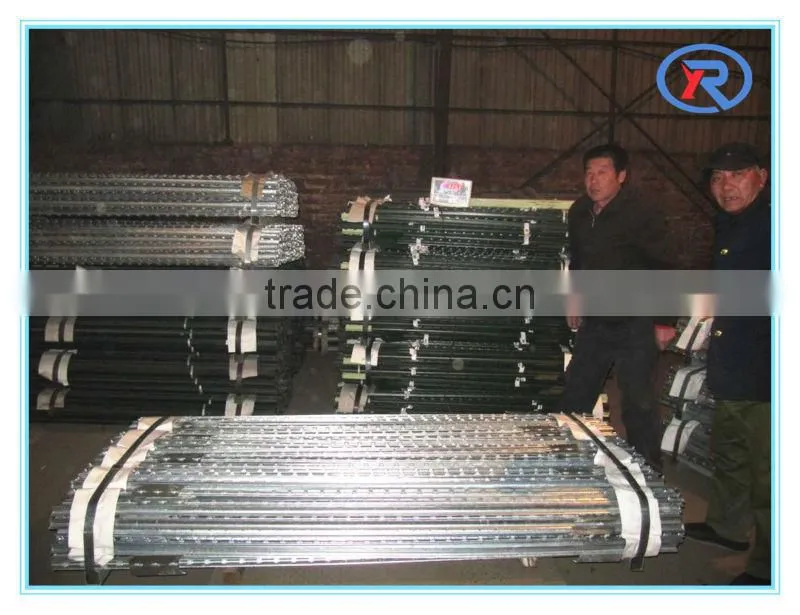 High Quality Low Price Metal T post also named studded T post for American market