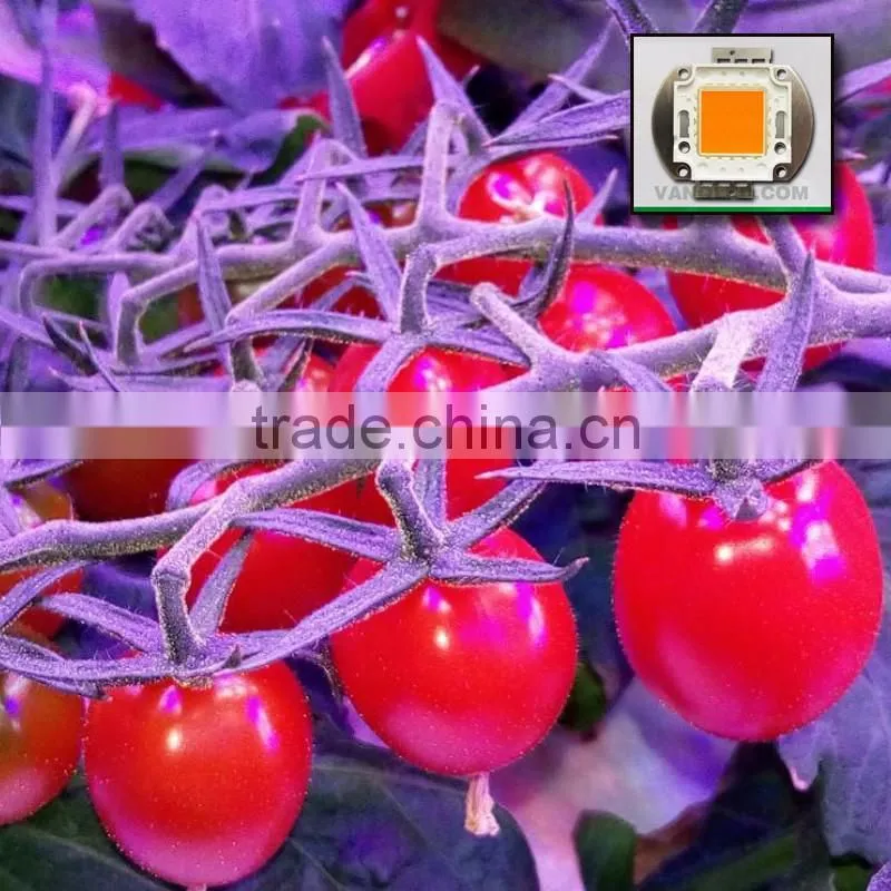 300w grow light vanq waterproof hydroponics led plant high power indoor lamp