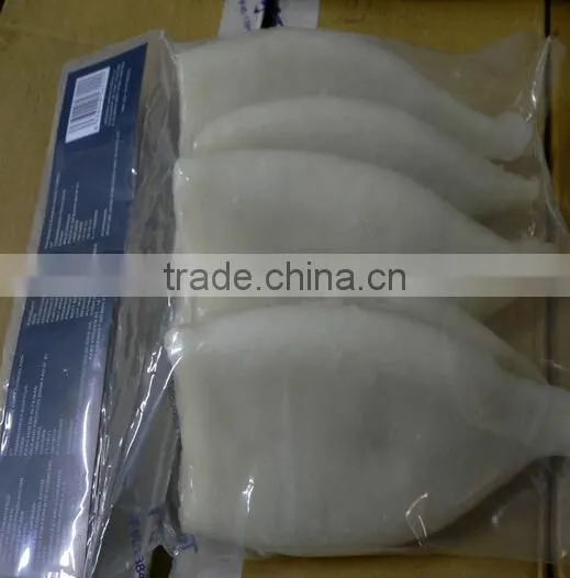 Sea Frozen Calamari Tube of Illex Squid
