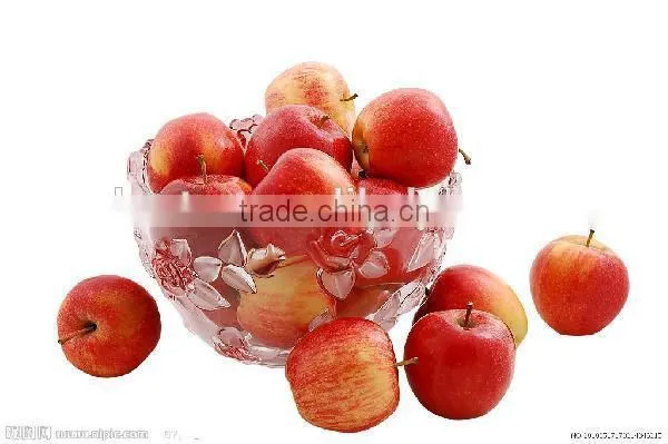 Apple peeler /fruit peeler