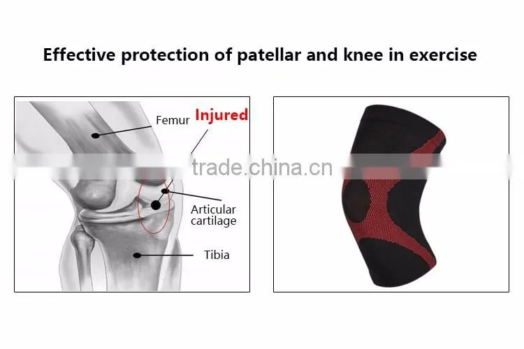 gym energy knee support for bodybuilding