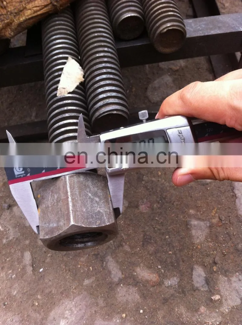 High quality Large size rolled screw thread round bar with nuts,screw bolt