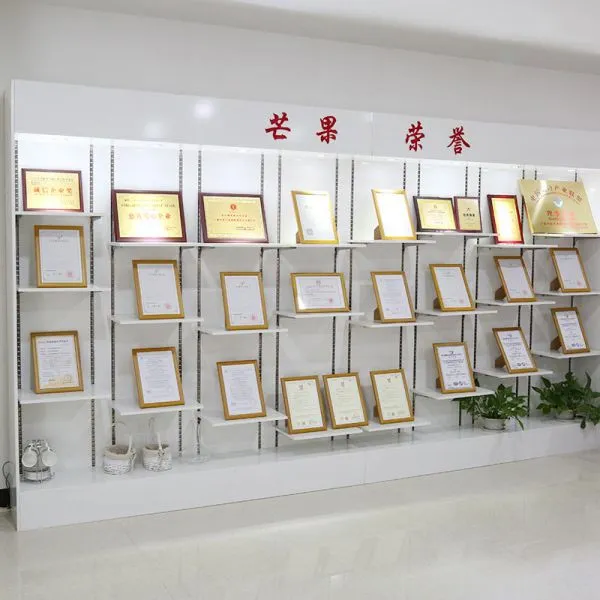Guangzhou Mango Energy Technology Co., Ltd. company overview - view 2