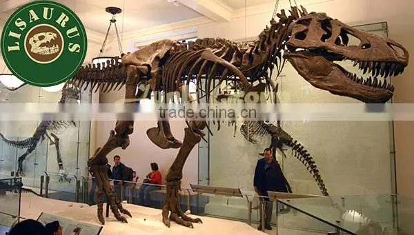 Lisaurus-0852 Display dinosaur skeleton mould model for sale
