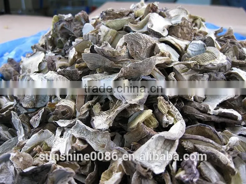 Wild dried white porcini mushroom