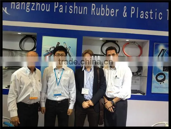 ISO 9001 Factory SAE J1402 Rubber Brake Hose DOT