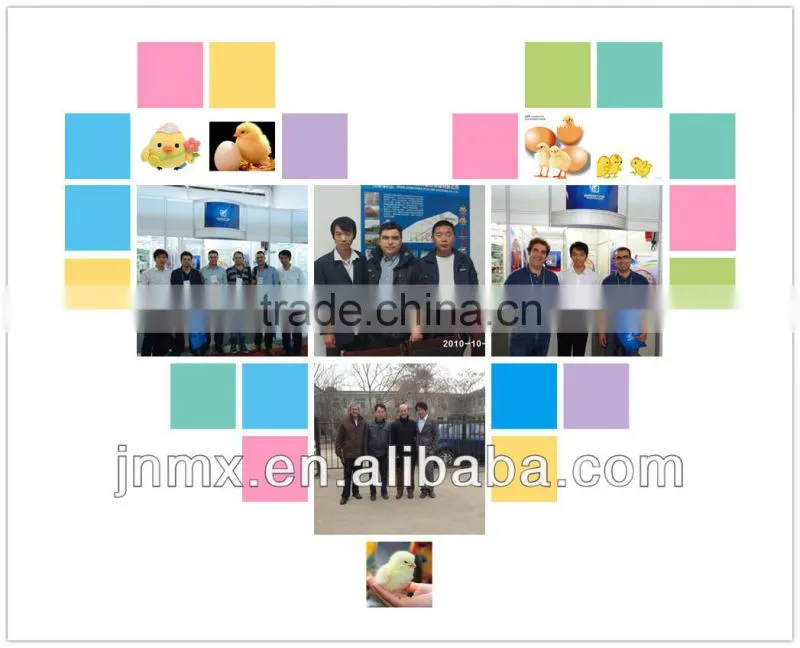 Best designed high efficiency hot sale automatic chicken farm ventilation