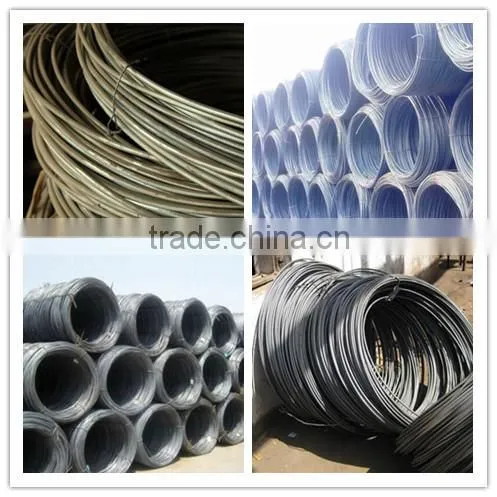 MS SEA 1008 steel wire rod