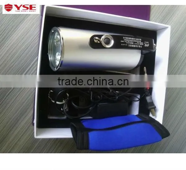 Fire explosion proof flashlight