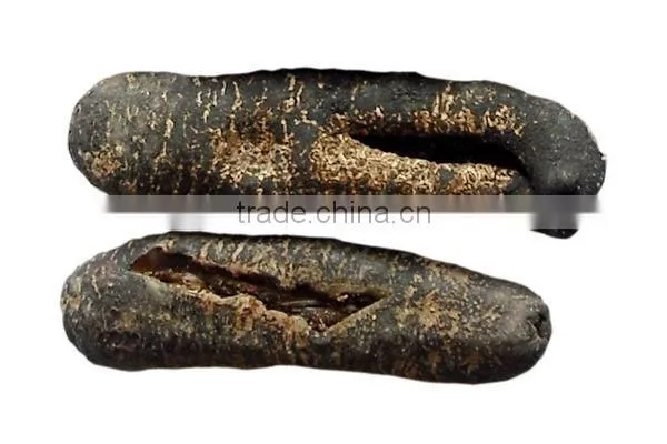 Tiger Sea Cucumber Vietnam, Black Zsand Fish, Holothuria Spp