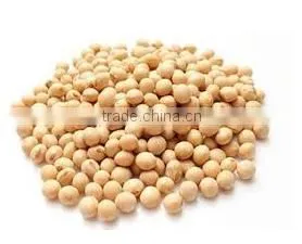 Organic Fresh Soy Beans