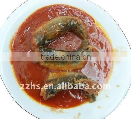 Canned Mackerel Fish in Tomato Sauce