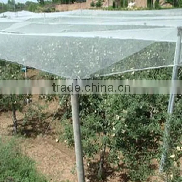 factory price anti bird netting new hdpe for grapes bird net