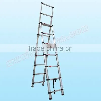 Double Telescopic Ladder