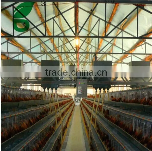 poultry farm automatic drinking system feeding system for 10000 chickens