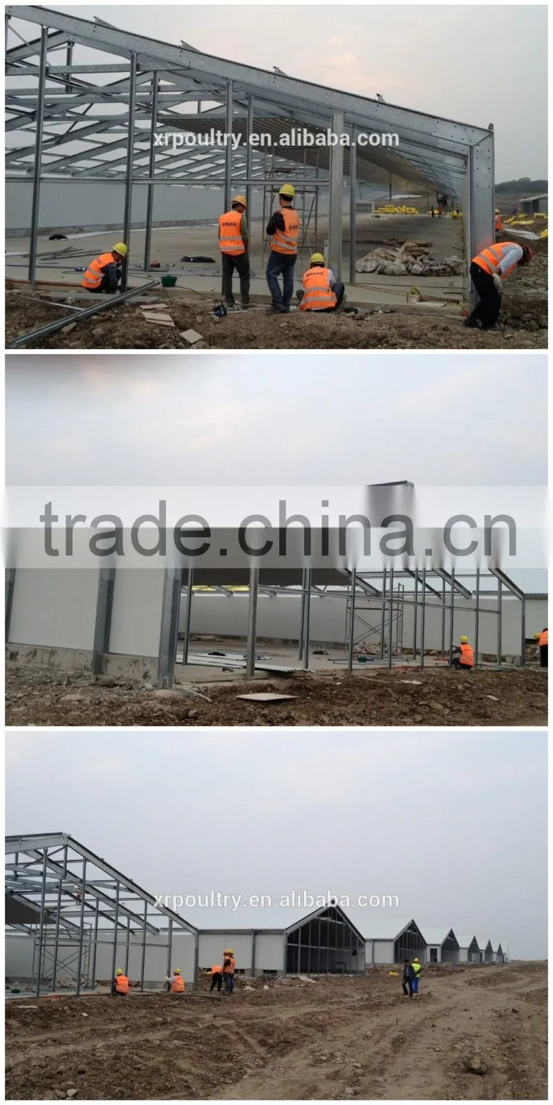 automatic environmental controlled chicken farms construction