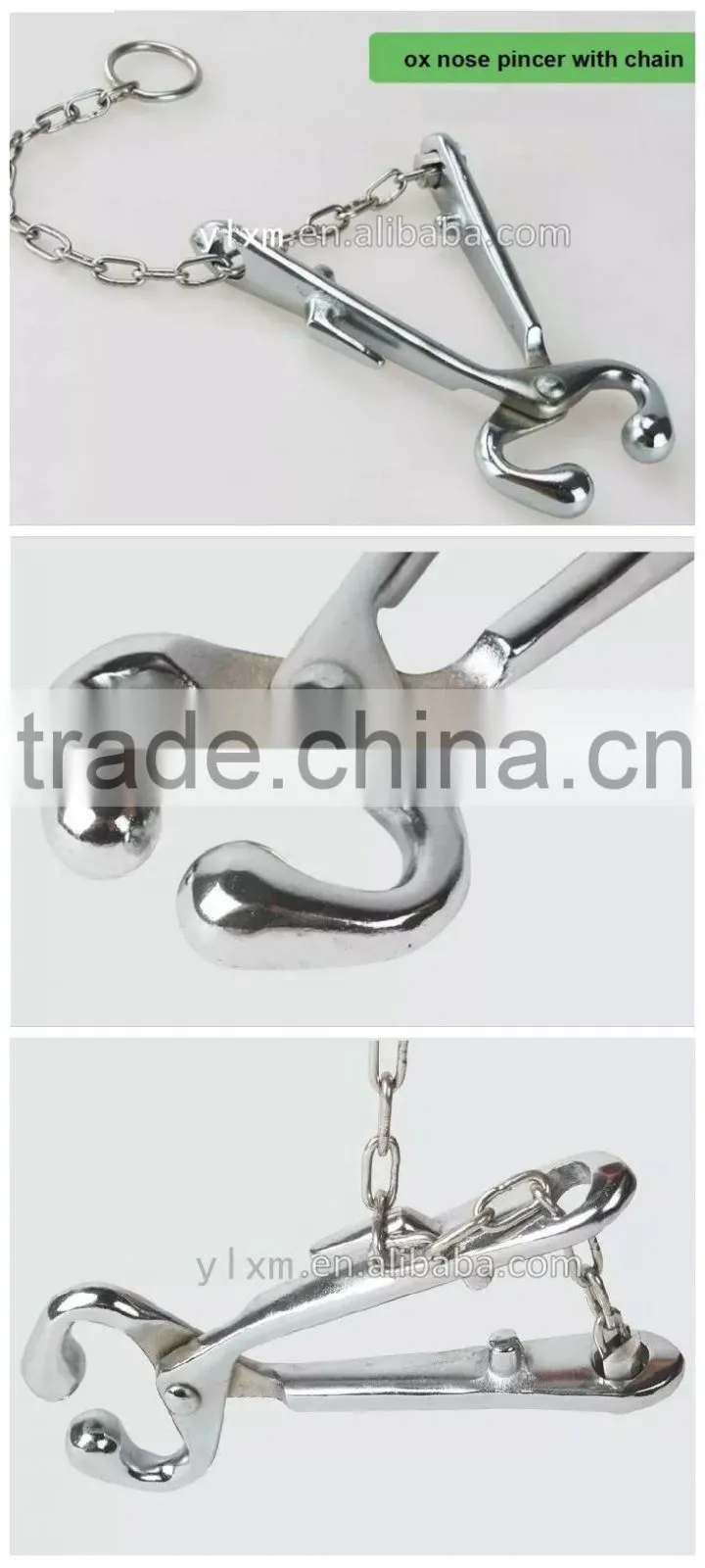 China suppliers veterinary instrument cattle chain nose pincer stainless steel cattle bull holder plier for sale