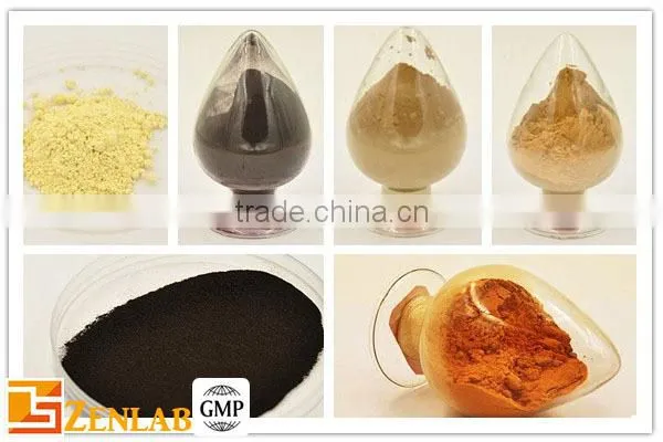High quality gingerol ginger extract ginger root powder