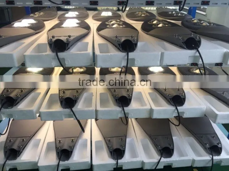 30W/50W/80W Everlite COB LED Street Light Head Housing