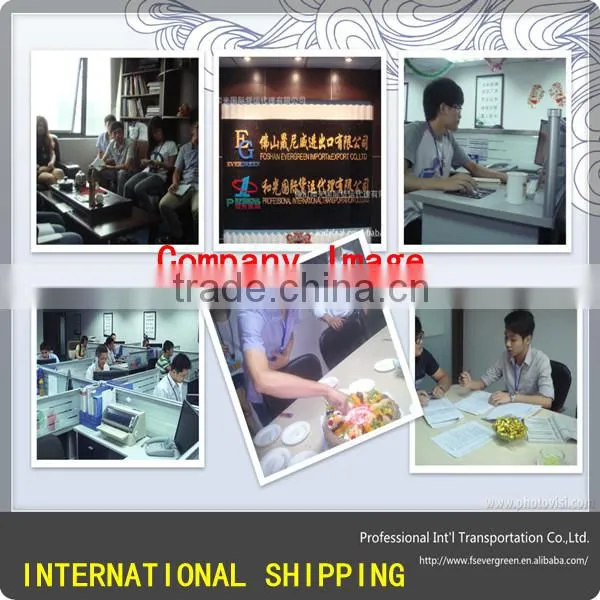 China EMS International Freight to Spain
