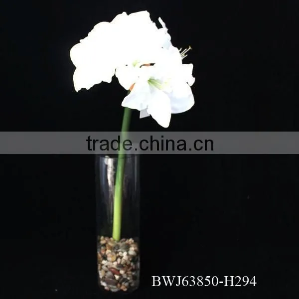 Natural rose flowers, cut flowers