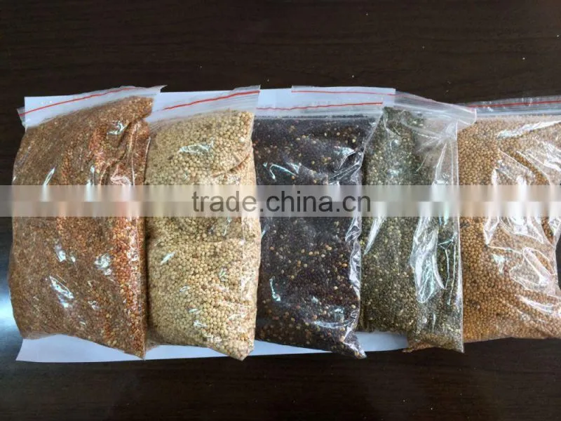 yellow millets grain