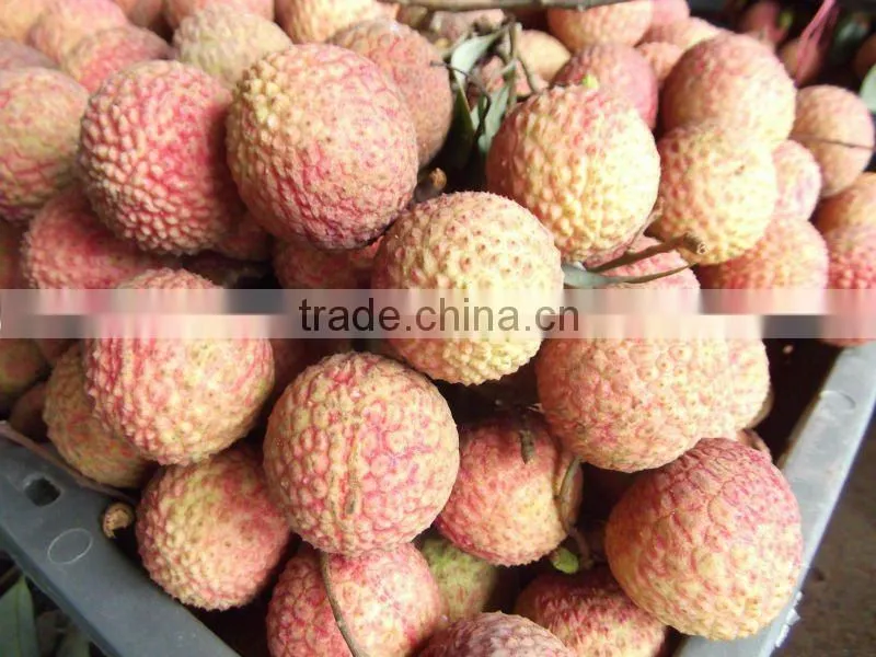 2016 Fresh Fruit Lichee from China