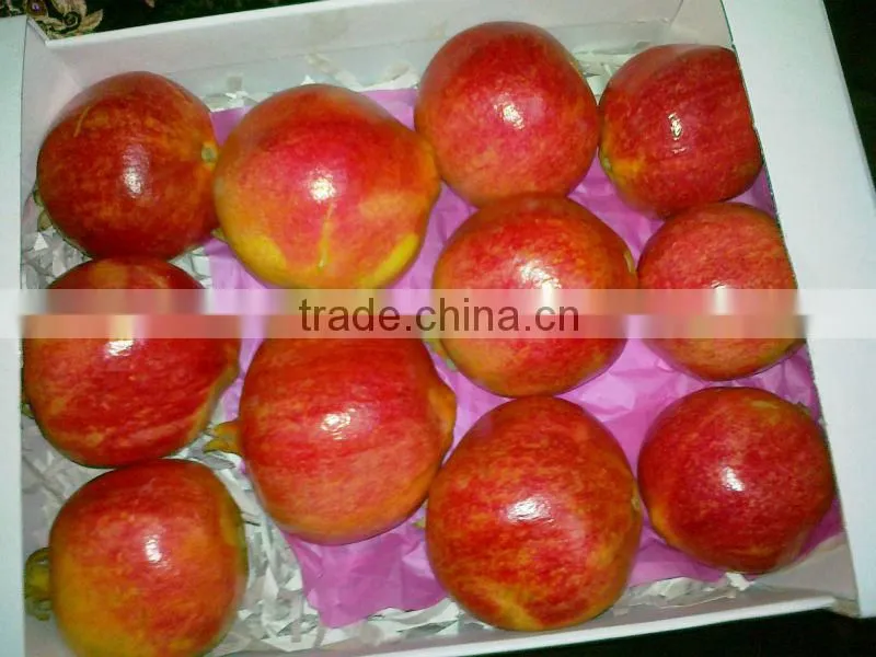 SWEET EGYPTIAN POMEGRANATE