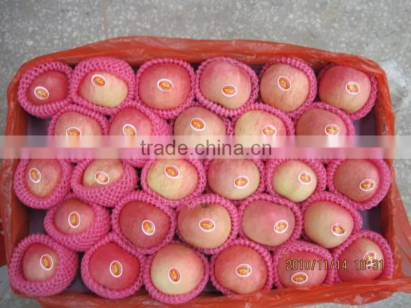 Top grade fuji apple