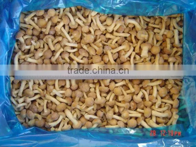 Chinese IQF nameko