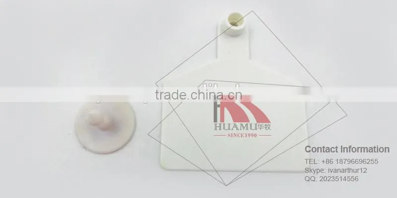TPU cow ear tag with metal pin in white 70*58 mm