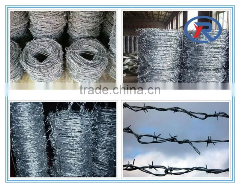 16gauge galvanized barbed wire fencing made in China