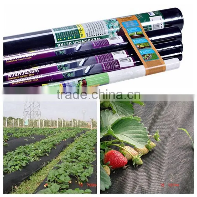 Technology 2016 Agriculture Nonwoven Polypropylene Fabric Roll