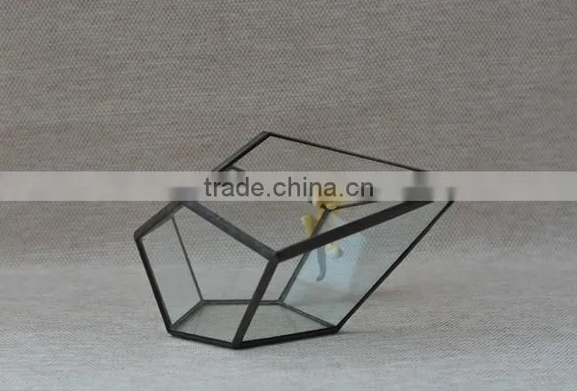 Pyramid shaped glass terrarium for indoor plant holder