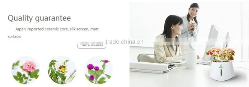 plant growth light