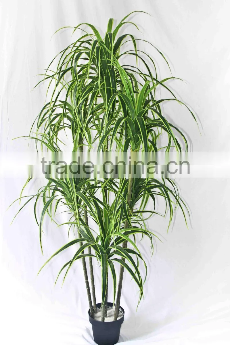 Office decorative green plants