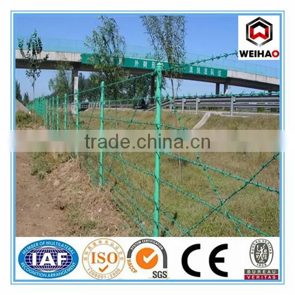 Anping Wei hao provide galvanized barbed wire/PVC barbed wire