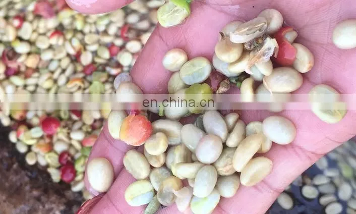 Coffee bean peeling machine in shellers/Cocoa Beans Peeling / PeelerMachine/coffee bean skin peeling machinery