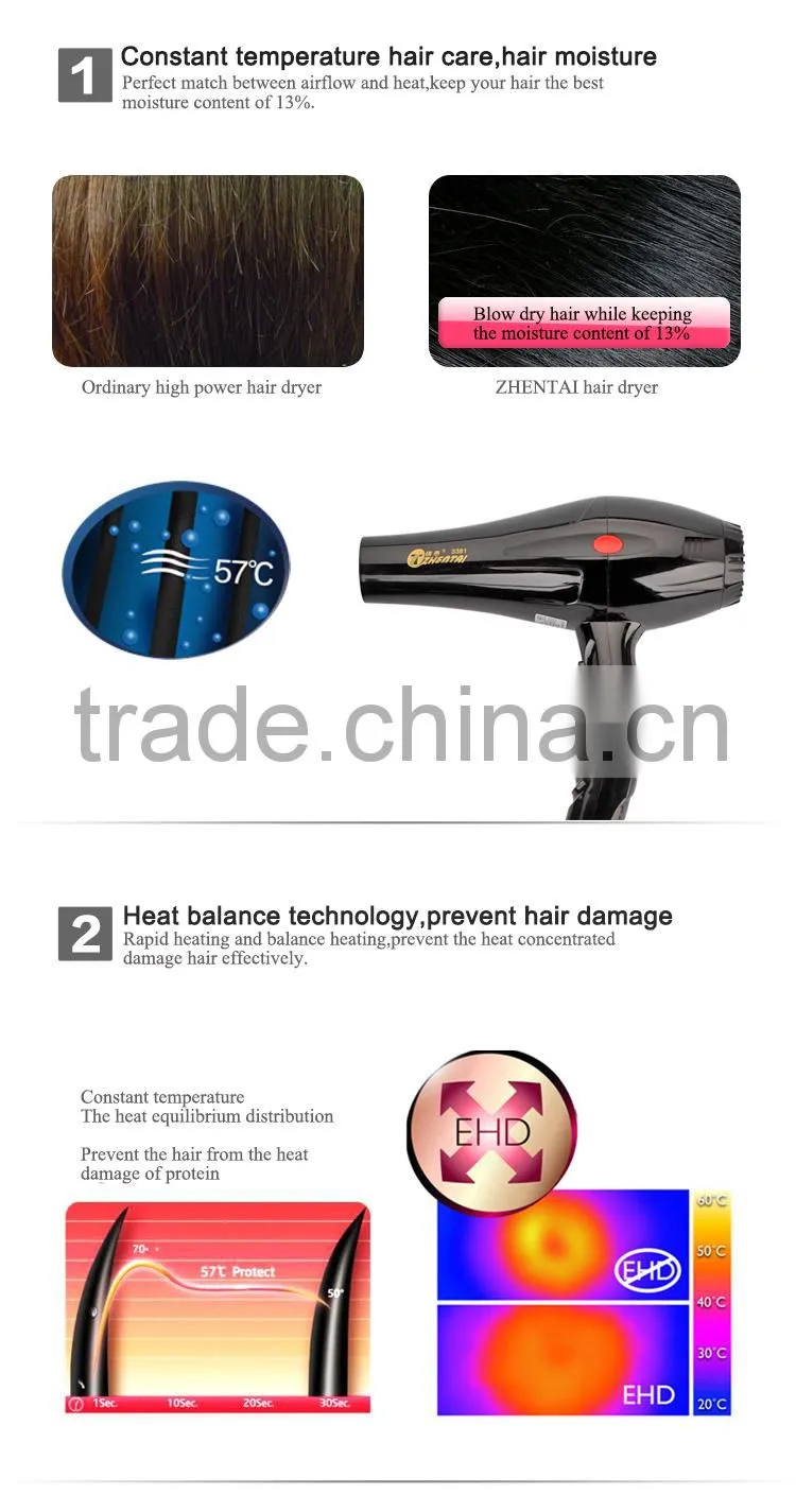Wholesale 220V VDE Hair Dryer, Gift Hair Dryer, Air Hair Blower for Promotion