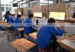 Shanghai Chinon Medical Model & Equipment Manufacturing Co., Ltd. company overview - view 2