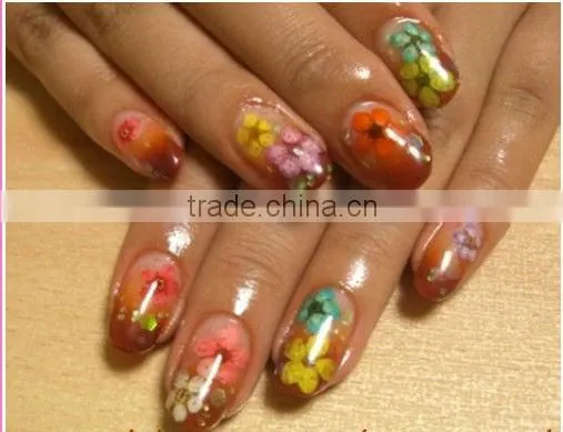mini bead for real flower nail art 2013