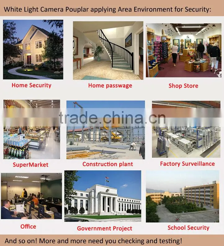 Waterproof white light night vision 700tvl ccd cctv board camera