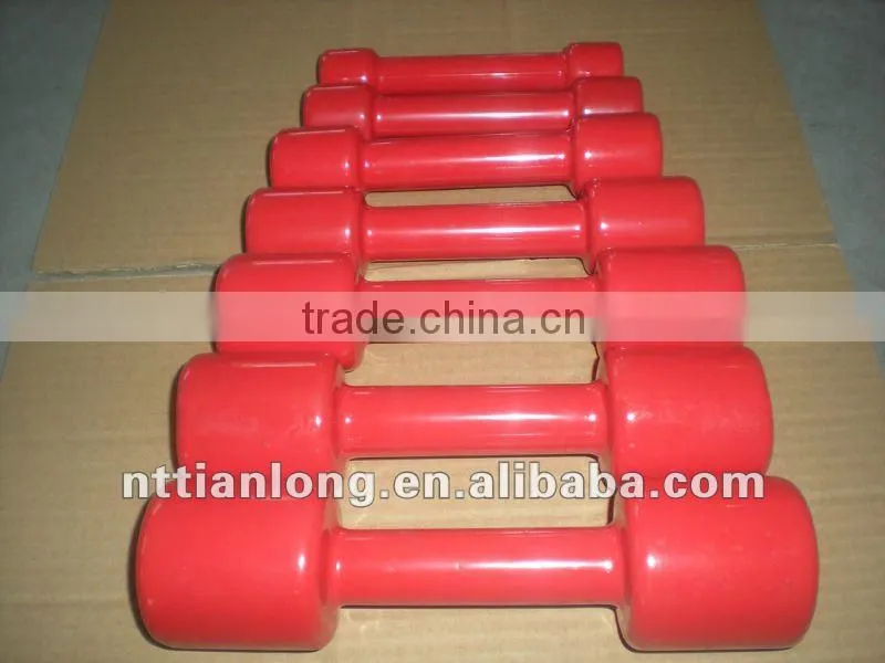 vinyl dipping dumbbell
